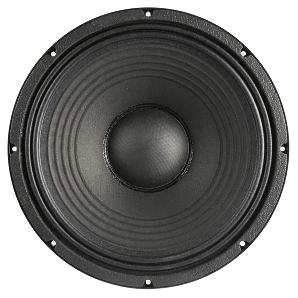 Power Dynamics PD15PS - Haut-Parleur Boomer 15", Puissance 800 Watts - Aluminium