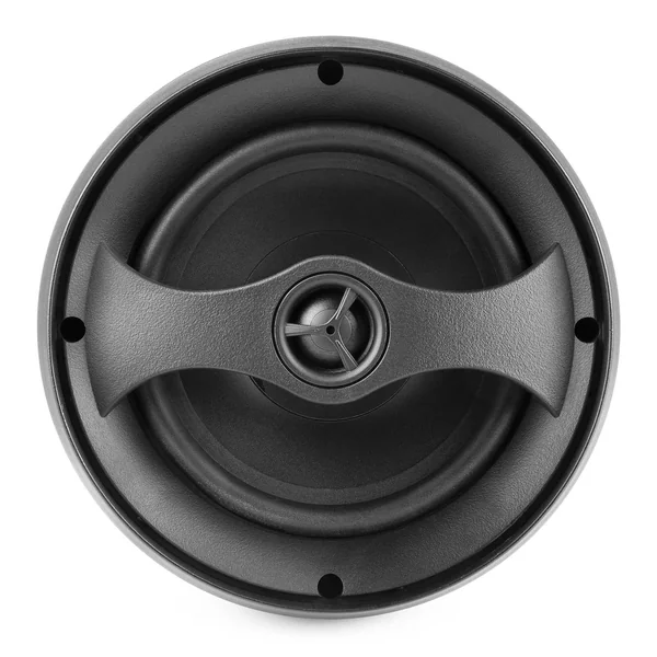 Power Dynamics PDS65B - Enceinte à Suspendre 100 V/80W - Noir