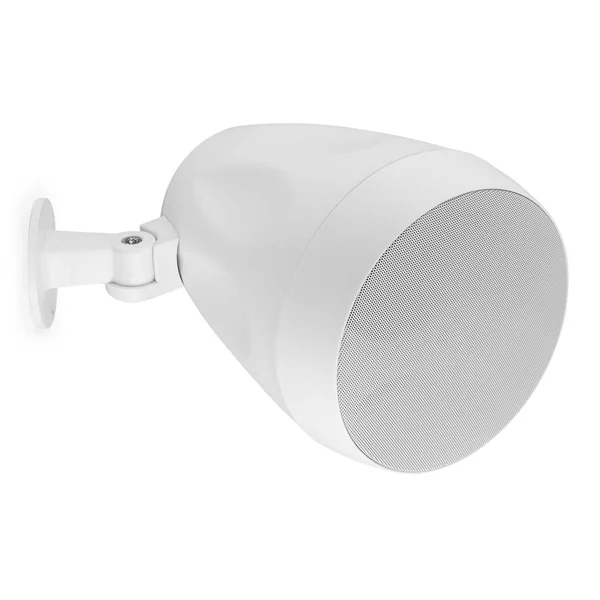 Power Dynamics PDS65W - Enceinte à Suspendre 100 V/80W - Blanc