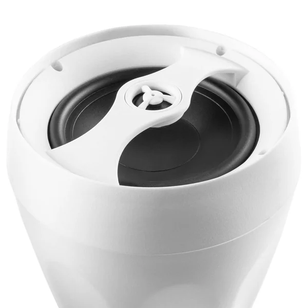 Power Dynamics PDS65W - Enceinte à Suspendre 100 V/80W - Blanc