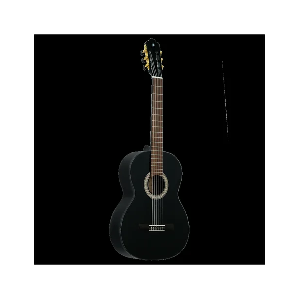 Prodipe Primera 4/4 black