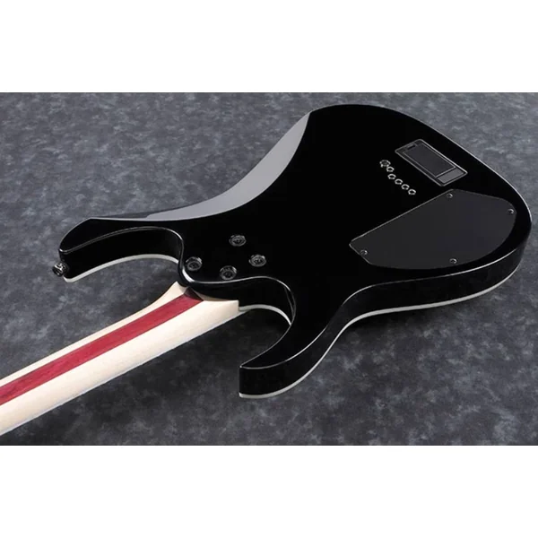 RGIB21 BK Iron Label - black