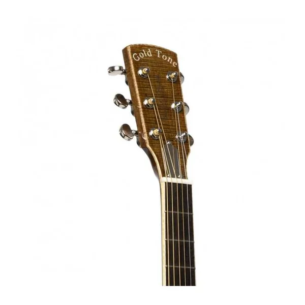 Résonateur Electro GOLD TONE GRE - Paul Beard