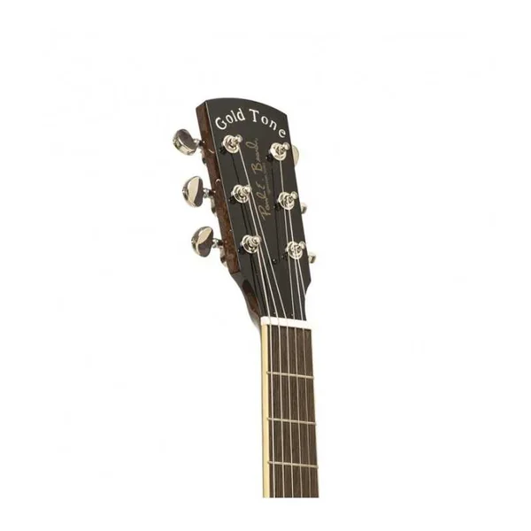 Résonateur GOLD TONE GRS - Paul Beard
