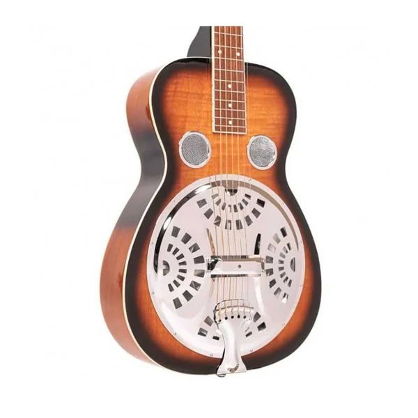 Résonateur GOLD TONE PBS Paul Beard - manche carré