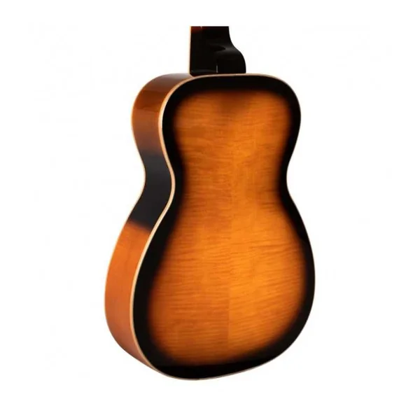 Résonateur GOLD TONE PBS-D Paul Beard Deluxe