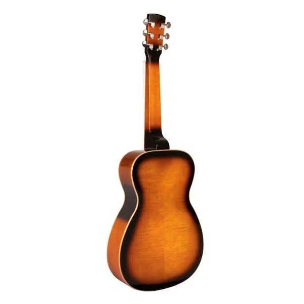 Résonateur GOLD TONE PBS-D Paul Beard Deluxe