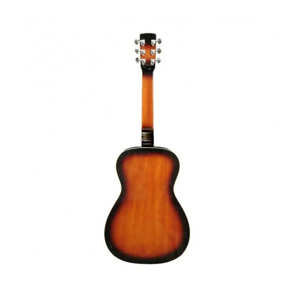 Résonateur GOLD TONE PBS-M Paul Beard - manche carré