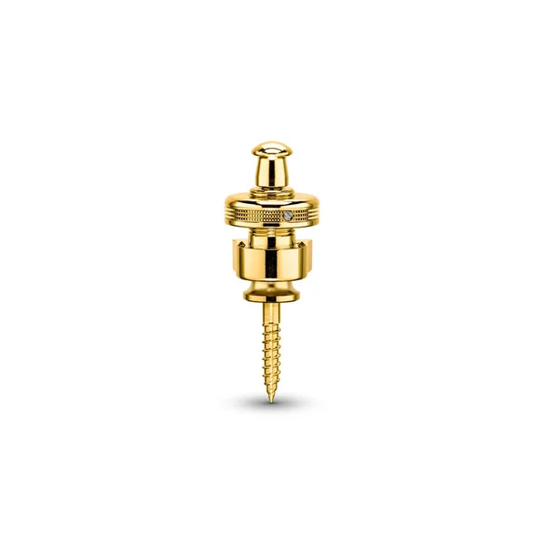 SCHALLER S-Locks Strap Lock Gold