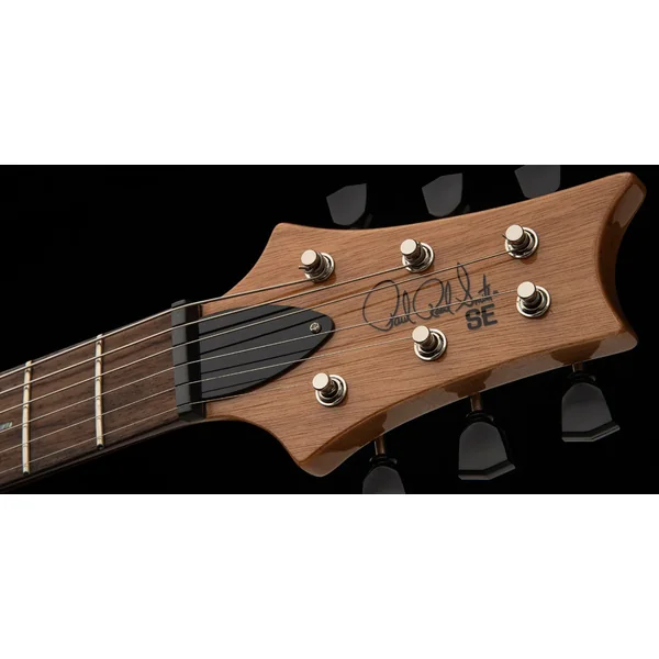 SE Paul's Guitar - charcoal