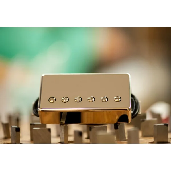 SH-5 Duncan Custom - Gold (cover)