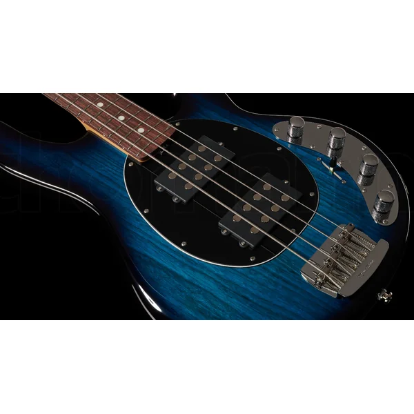 StingRay Special HH (RW) +Case - pacific blue burst