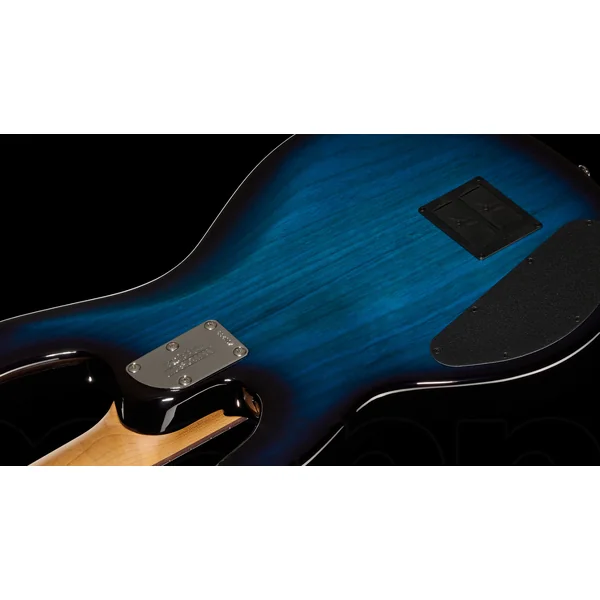StingRay Special HH (RW) +Case - pacific blue burst
