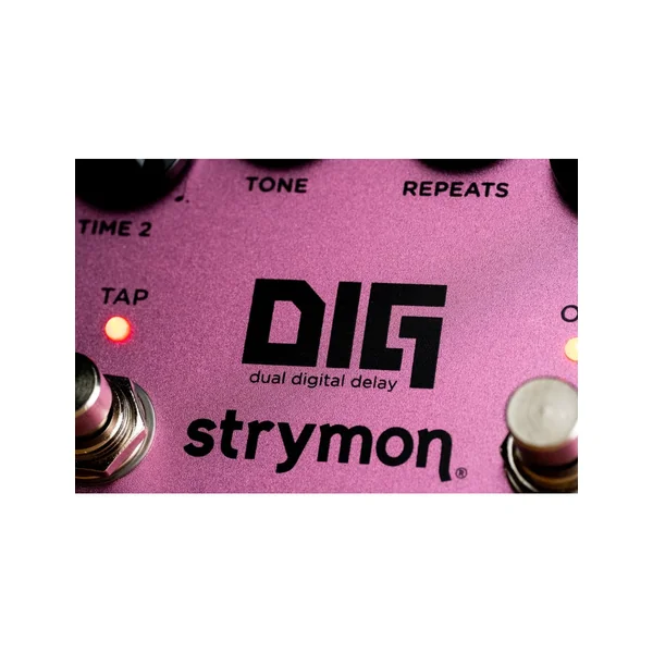 Strymon Dig V2