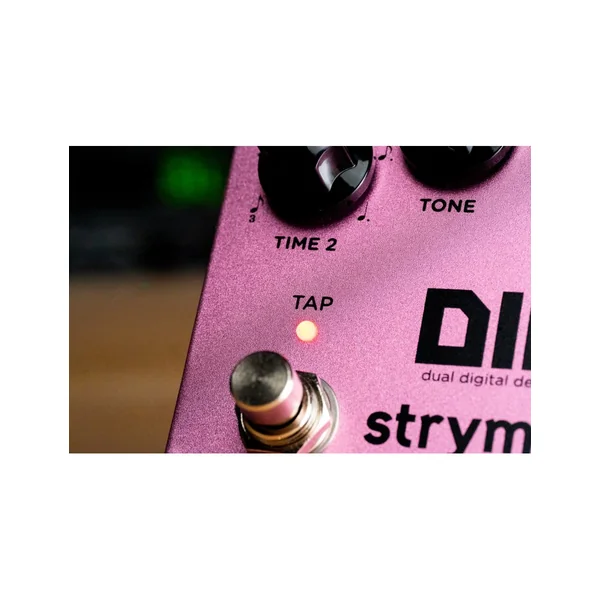 Strymon Dig V2
