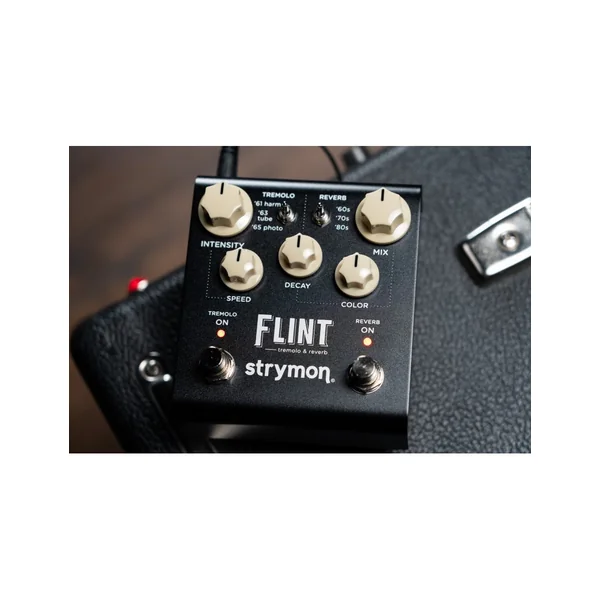 Strymon Flint V2