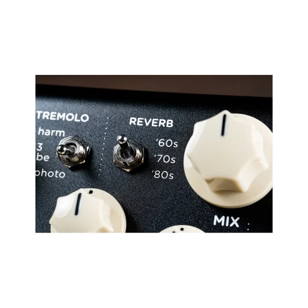 Strymon Flint V2