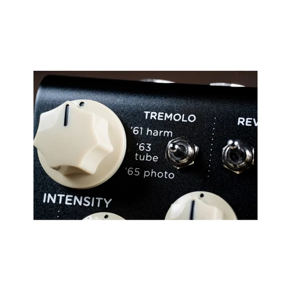 Strymon Flint V2