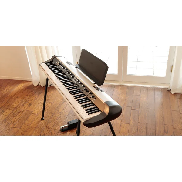 SV-2S 73 (amplified)