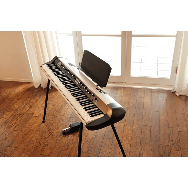 SV-2S 88 (amplified)