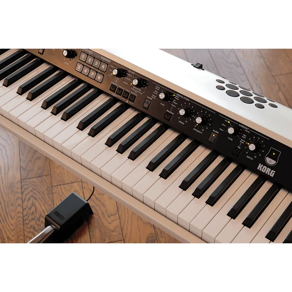 SV-2S 88 (amplified)