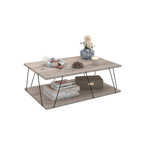 Table basse chêne et noir Table salon élégante Table basse rectangulaire Table basse industrielle