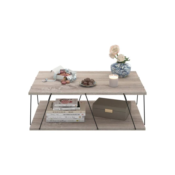 Table basse chêne et noir Table salon élégante Table basse rectangulaire Table basse industrielle