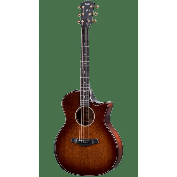 Taylor 324CE V-Class Builder's Edition