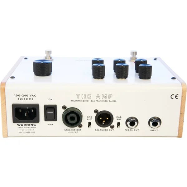 THE AMP