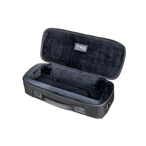 Theremini Gig Bag