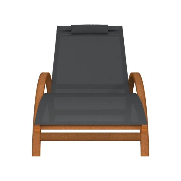 Transat de jardin gris 1 personne en peuplier Bain de soleil transat jardin transat extérieur chaise longue jardin
