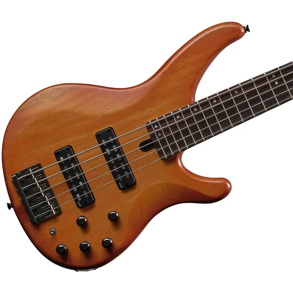 TRBX505 BRB 5-String - brick burst