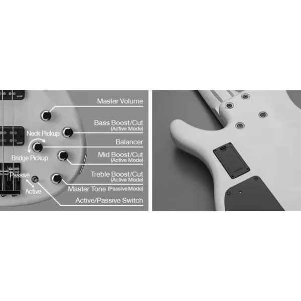 TRBX505 BRB 5-String - brick burst