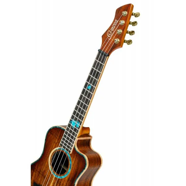 UKULELE TENOR ELECTRO ORTEGA, 30TH TURTLE, CW EQ
