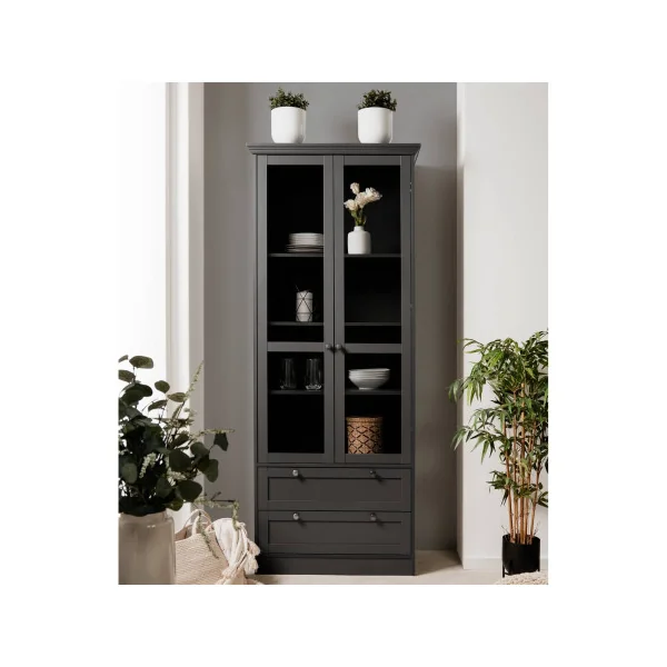 Vitrine Anthracite de Salon 2 Portes 2 Tiroirs Buffet Haut Armoire de Salon