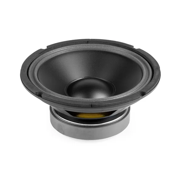 Vonyx WP20 - Haut-Parleur de Graves, Cône 8 Pouces (20 cm), 250 Watts