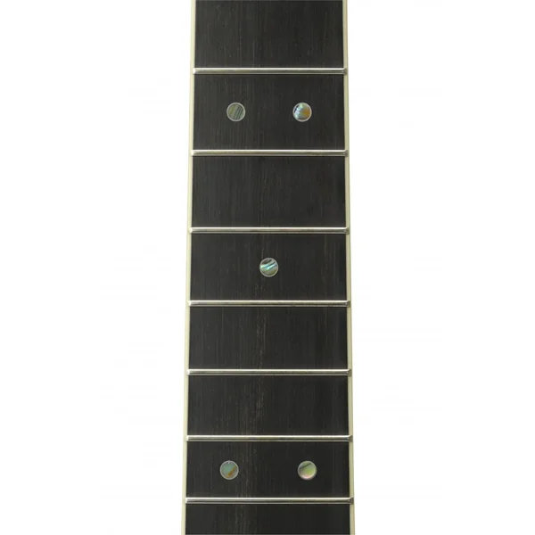 Yamaha LL16-12 A.R.E. NT natural + housse