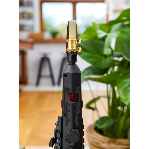 YDS-150 Digital Wind