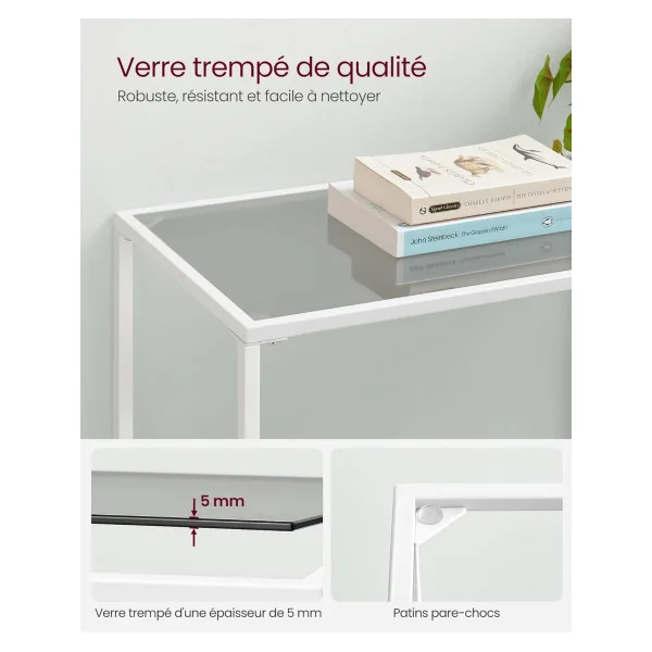 Étagère basse acier Console d'Entrée Bibliothèque Basse Meuble d'entrée Blanc et verre